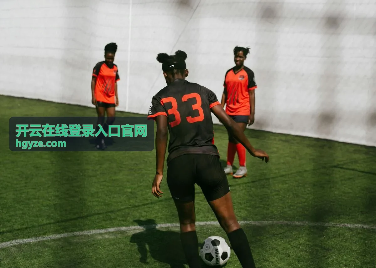 开云在线登录入口官网 常见问题说明配图