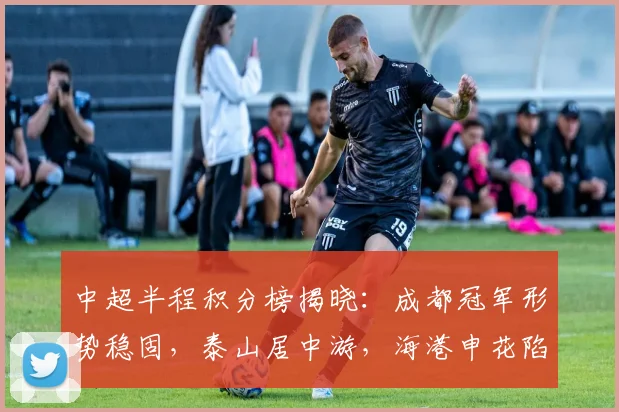 中超半程积分榜揭晓：成都冠军形势稳固，泰山居中游，海港申花陷入保级危机_蓉城_赛季_排名
